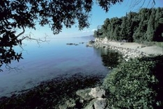 Veneto