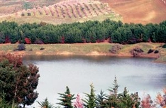 Molise