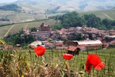 Piedmont is a region with a typical Italian temperament