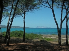 A dream of tourist is Sardinia island