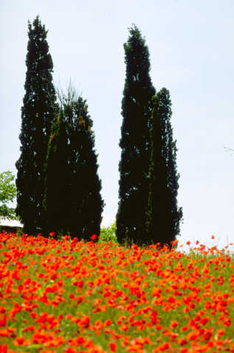 Vacations among amazing landscapes of Basilicata