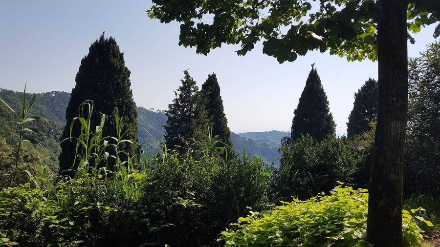 File:Il paesino di Torcigliano, Camaiore, Toscana.jpg