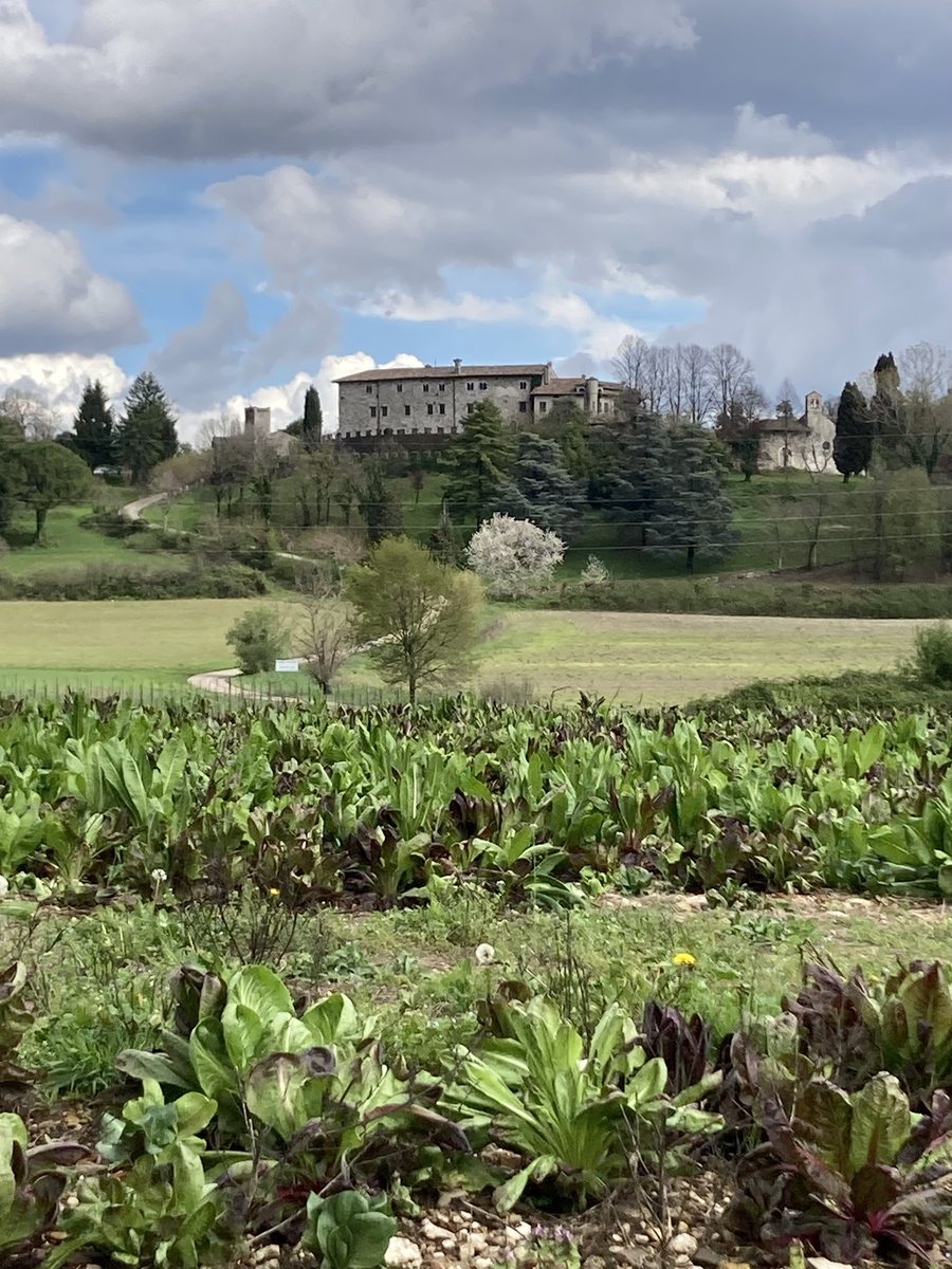 File:Rive d'Arcano - Castello di Arcano - 2024-09-10 18-33-45 001.jpeg
