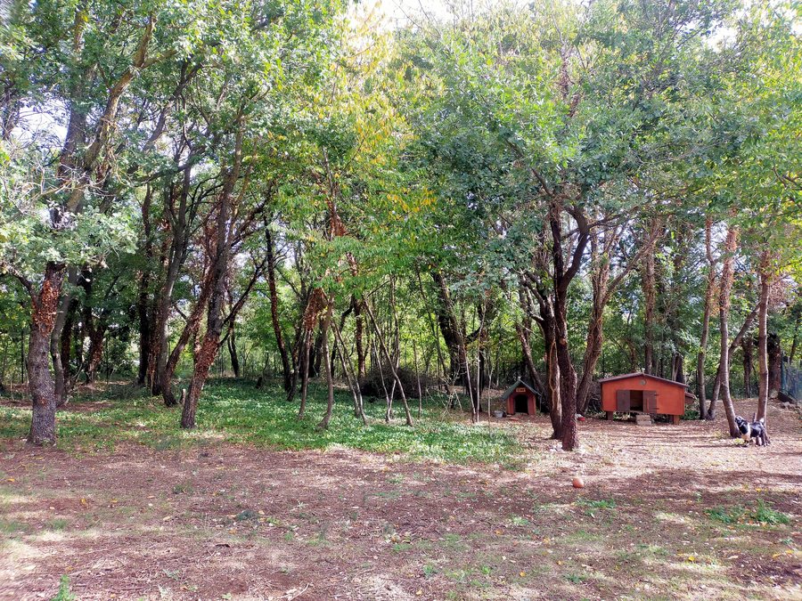 File:Piè le Querce Avezzano 2023.jpg