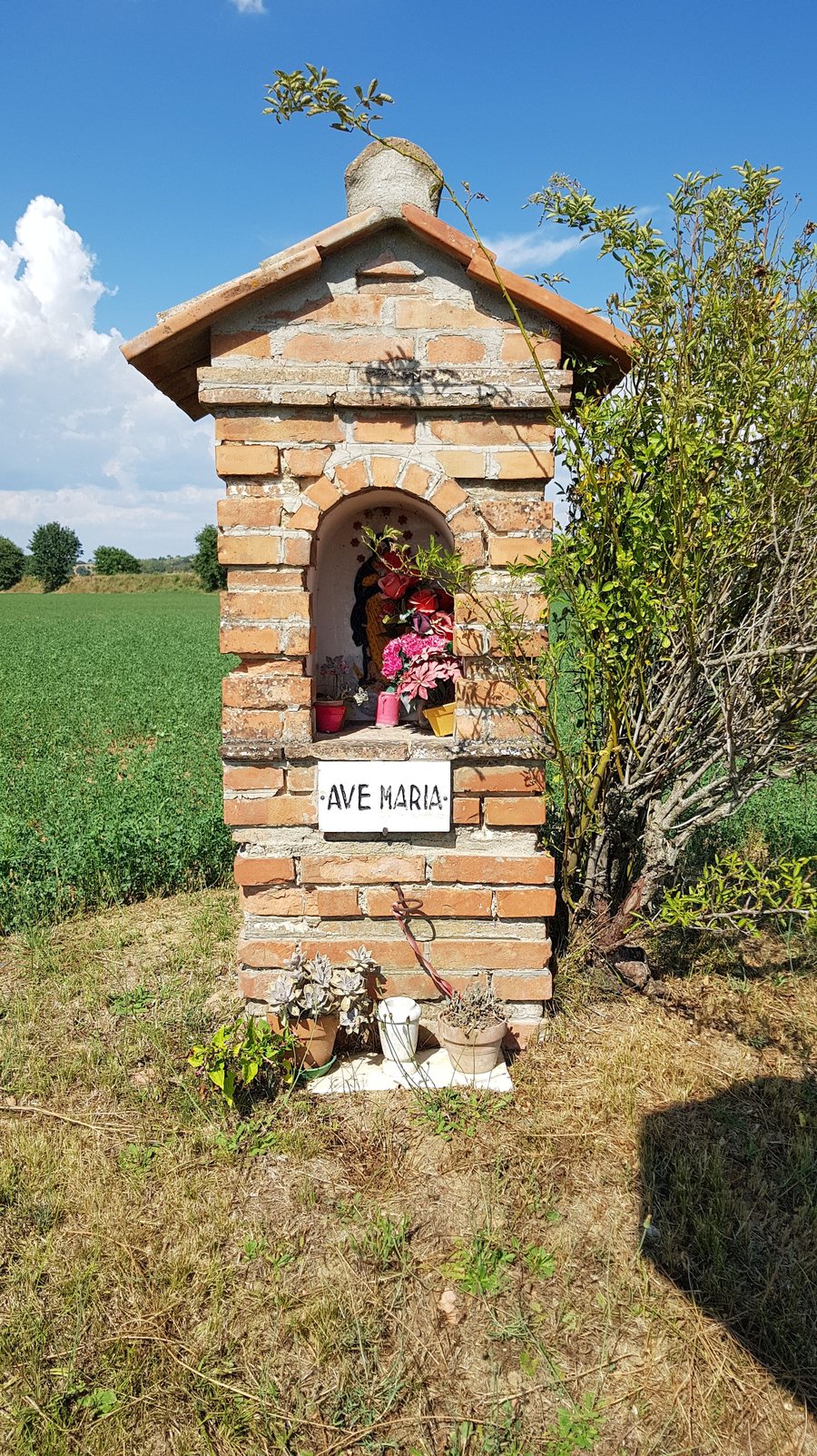 File:Edicola in Strada provinciale delle Chianacce (Cortona).jpg