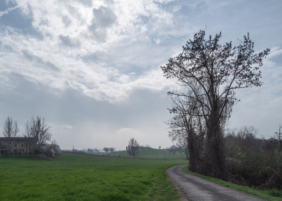 File:Via Montebarello - Castelvetro di Modena, Modena, Italia - 11 Marzo 2026 02.jpg