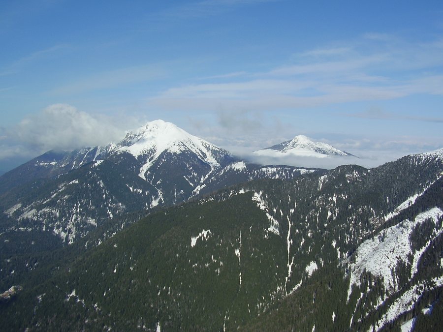 File:Corno nero corno bianco dalla basa (pampeago) - panoramio.jpg