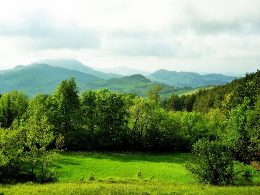 File:29010 Pecorara, Province of Piacenza, Italy - panoramio.jpg