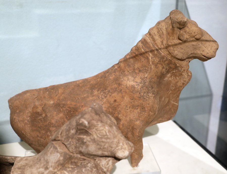 File:Statuetta frammentaria di bovino, VI secolo ac., dall'area sacra di scrimbia 03.jpg