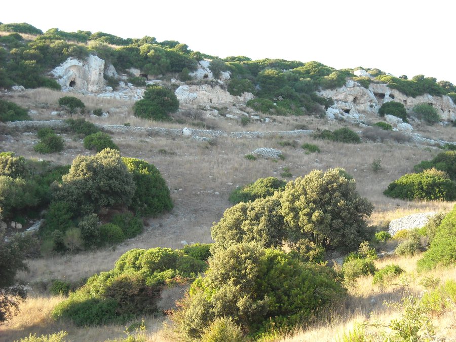 File:Ossi, necropoli ipogeica Mesu 'e Montes 1.jpg