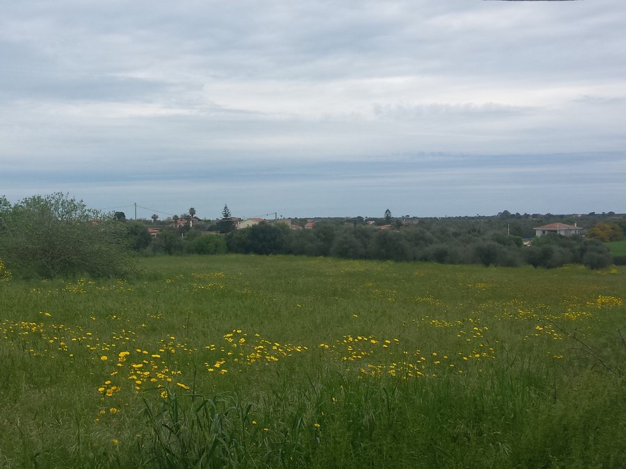 File:Sassari, frazione Villa Gorizia (01).jpg