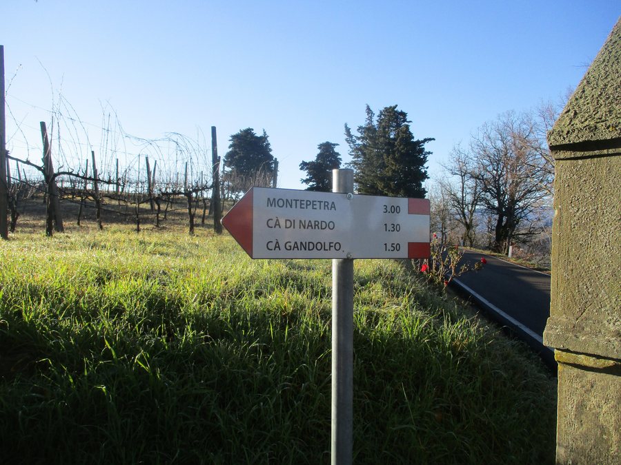 File:CAI 123 Scuole Montepetra Segnavia.jpg