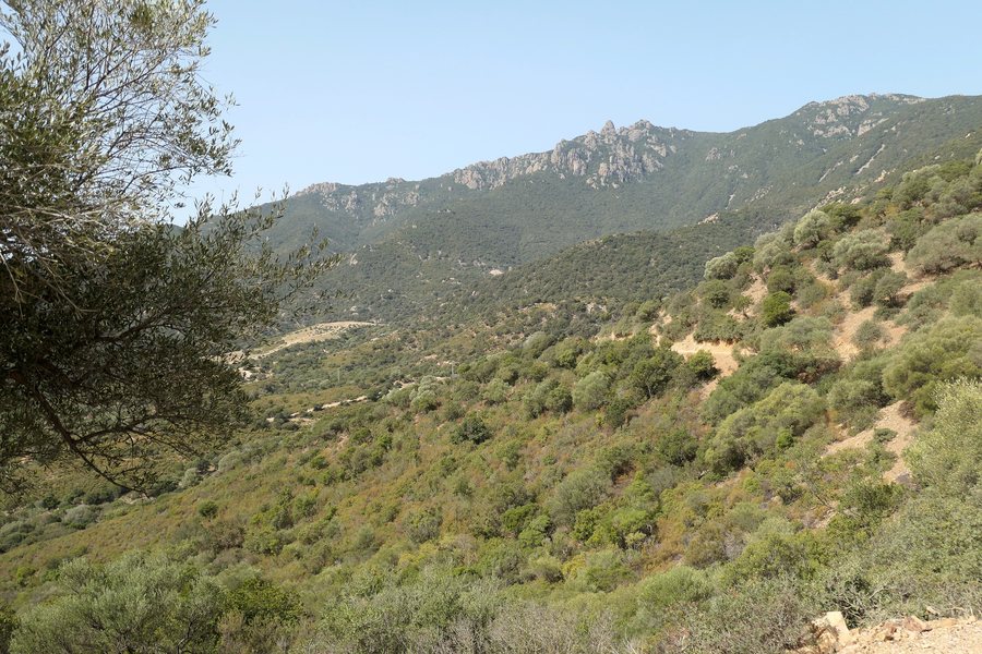 File:Area del Monte Ferru di Tertenia, Monte Ferru.jpg