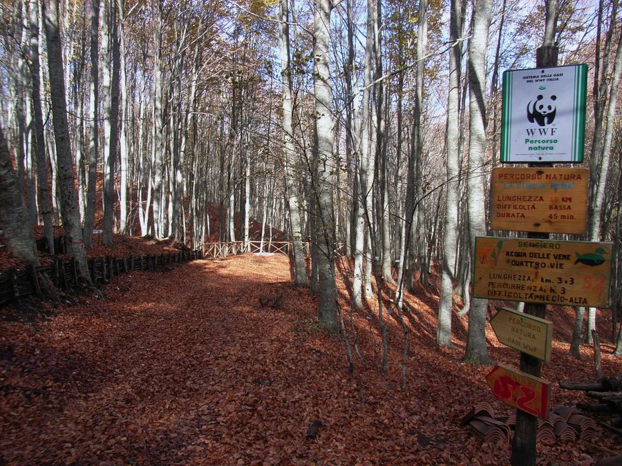 File:Pannarano - Sentieri oasi.jpg