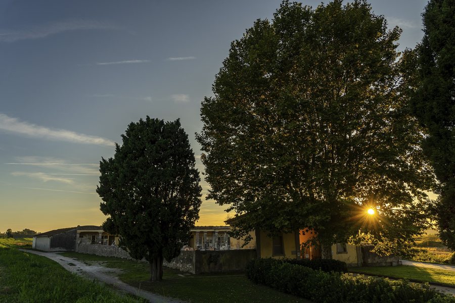 File:Vecchiano - Cimitero di Migliarino Pisano - 2025-09-21 02-21-53 001.jpg