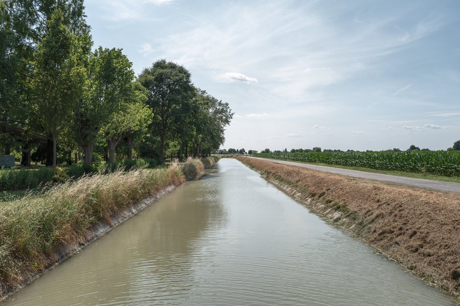 File:Canale Diversivo di Cavezzo - Medolla, Modena, Italia - 17 Giugno 2025 05.jpg