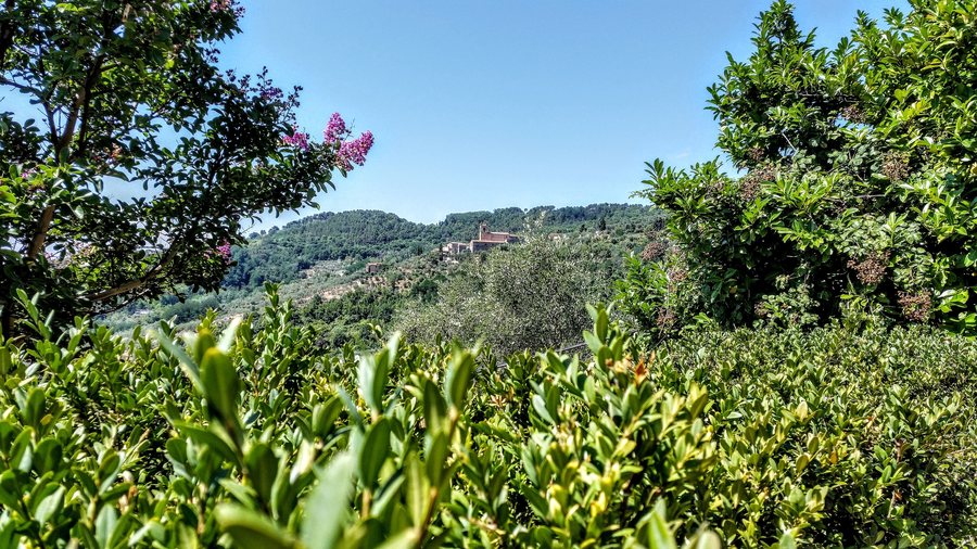 File:Monte a Pescia.jpg