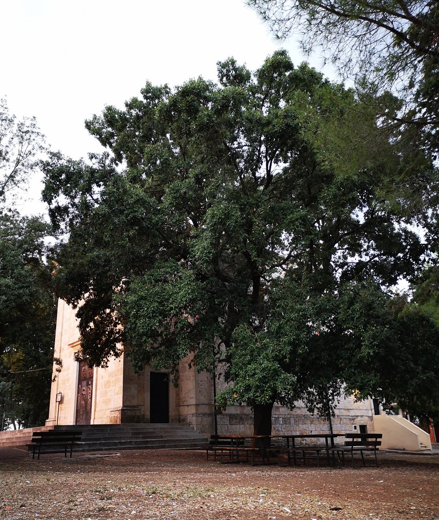 File:Leccio - Chiesa Maria SS degli Angeli di Quasano.jpg