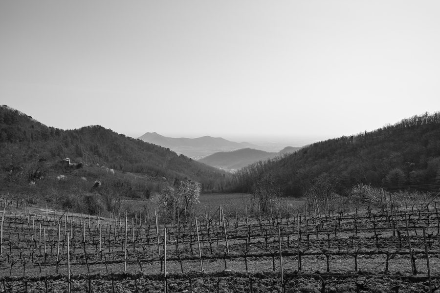 File:Colli Euganei - Galzignano Terme, Padua, Italy - March 20, 2022.jpg