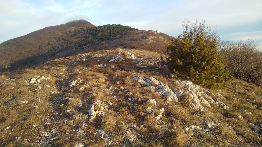 File:Monte Cetona crinale meridionale.png
