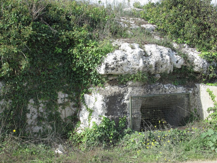 File:Grotta di Poggiardo 1.jpg