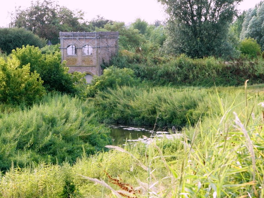 File:Canale Savena Abbandonato (Baricella).jpg