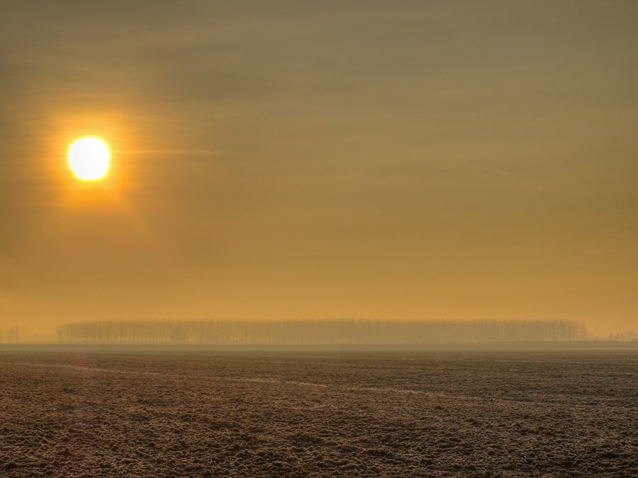 File:Distant Poplars in Early Morning Mist - Strada di San Clemente, Bastiglia, Modena, Italy - December 28, 2010 02.jpg