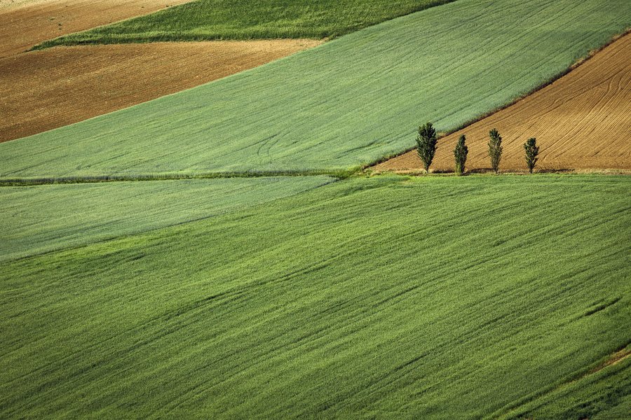 File:San Salvatore Monferrato, Italy (Unsplash).jpg
