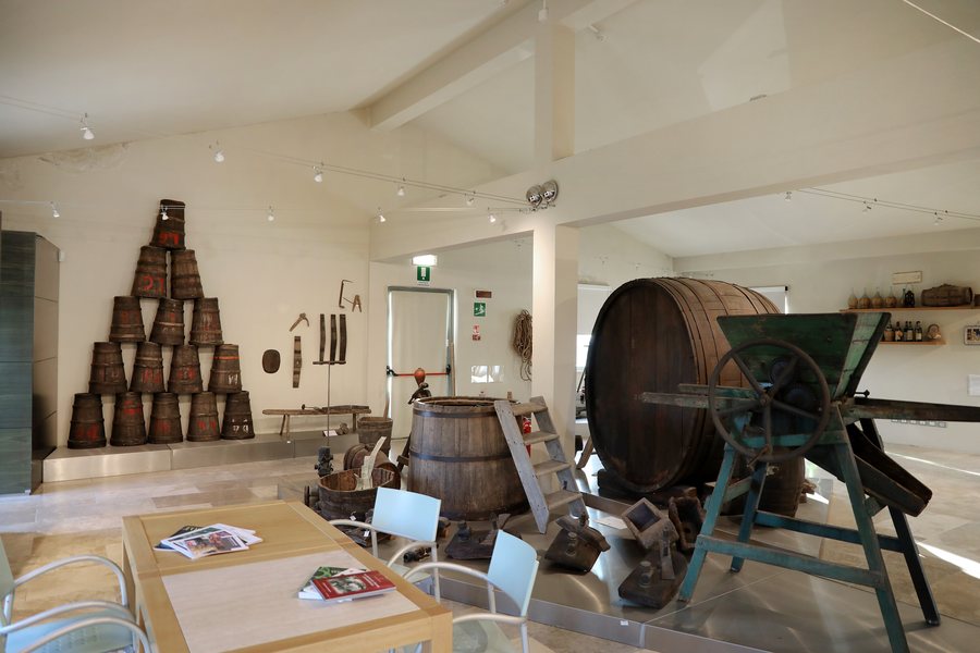 File:Montespertoli, museo della vite e del vino, interno 04 botti.jpg
