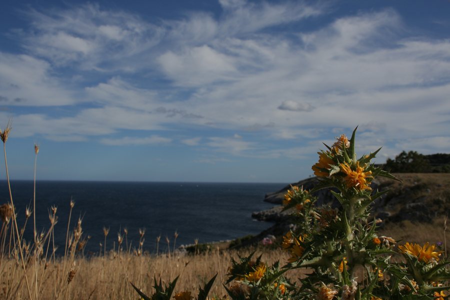 File:Costa Porto Badisco.jpg